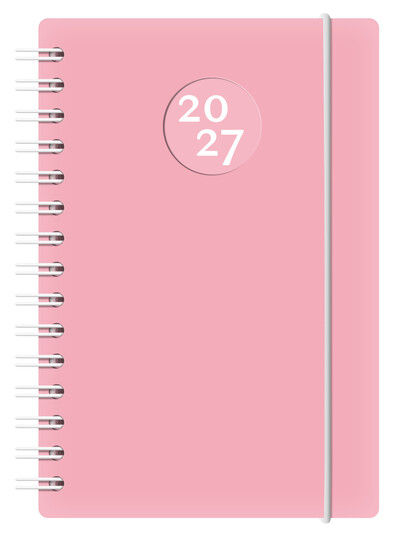 Picture of Agenda Euro-EUR 2027 rose