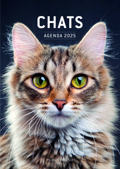 Image de Chats - Agenda 2025