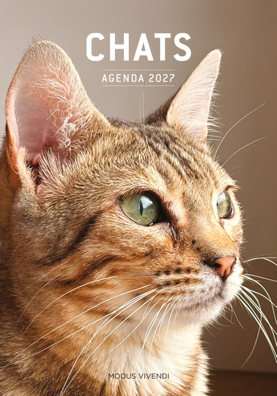 Picture of Chats - Agenda 2027