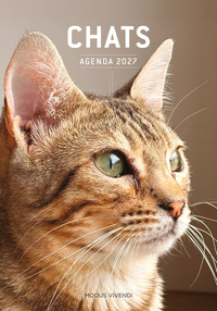Picture of Chats - Agenda 2027