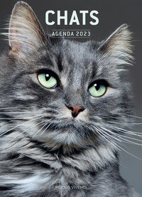 Image de Agenda des chats 2023