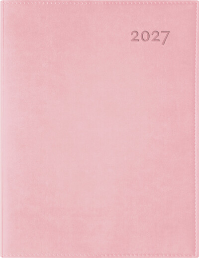 Picture of Agenda Ulys-EUR 2027 rose