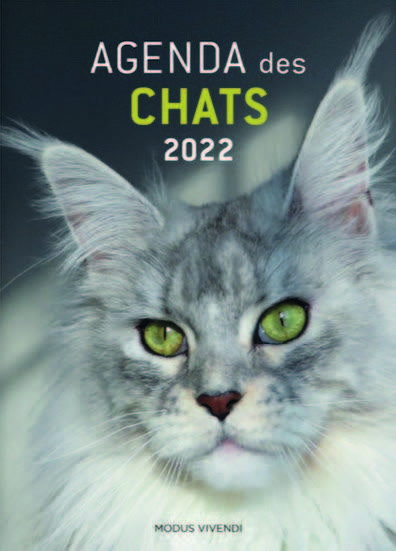Image de Agenda des chats 2022