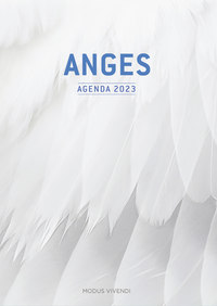 Image de Agenda des anges 2023