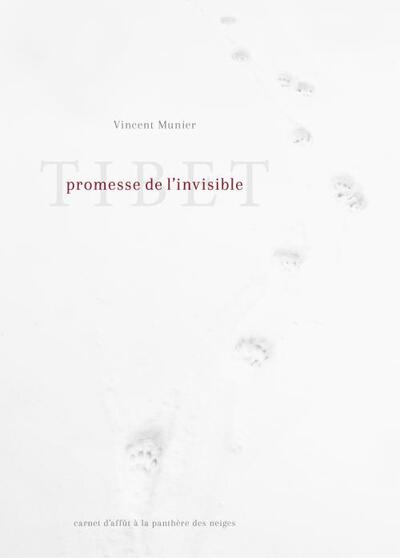 Picture of Tibet, promesse de l'invisible