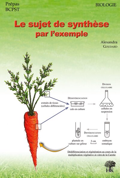 Picture of Le sujet de synthèse par l'exemple