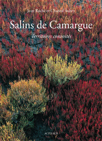 Picture of Salins de camargue