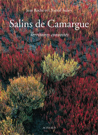 Picture of Salins de camargue