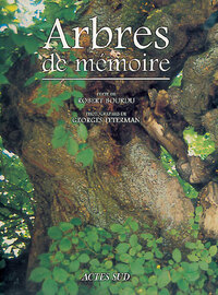 Image de Arbres de mémoire