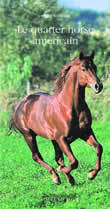 Picture of Le Quarter Horse américain, cheval unique et multiple