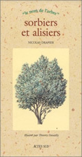 Image de Sorbiers et alisiers