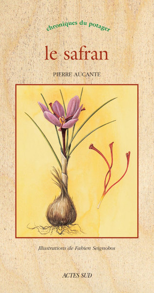 Image de Le safran