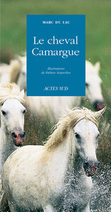 Image de Le Cheval Camargue