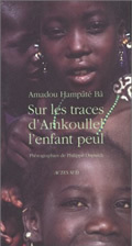 Image de Sur les traces d'Amkoullel, l'enfant peul