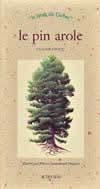 Picture of Le pin arole