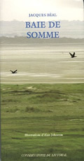 Picture of Baie de Somme