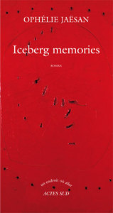 Picture of Iceberg memories