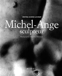 Picture of Michel-Ange sculpteur