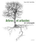 Picture of Arbres et arbustes en campagne