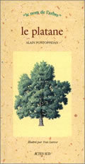 Image de Le Platane