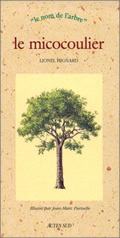 Image de Le Micocoulier