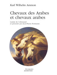Picture of Chevaux des Arabes et chevaux arabes