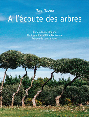 Picture of A l'ecoute des arbres