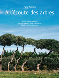 Picture of A l'ecoute des arbres