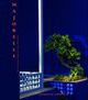 Image de Le Jardin Majorelle à Marrakech