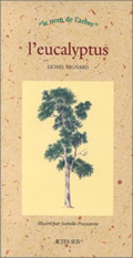 Picture of L'Eucalyptus