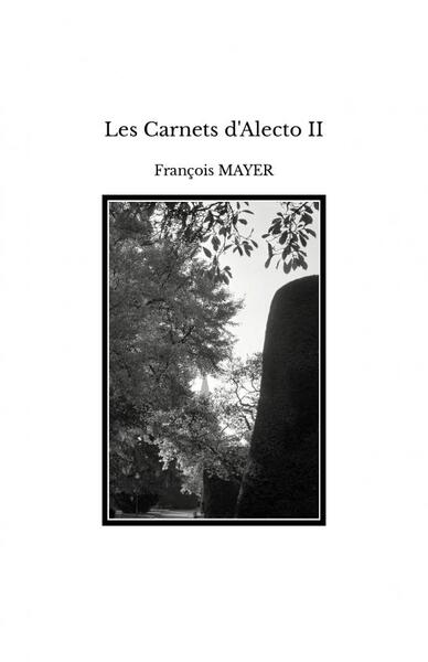 Image de Les Carnets d'Alecto II