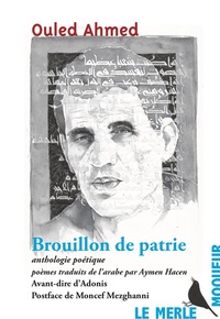 Picture of Brouillon de patrie