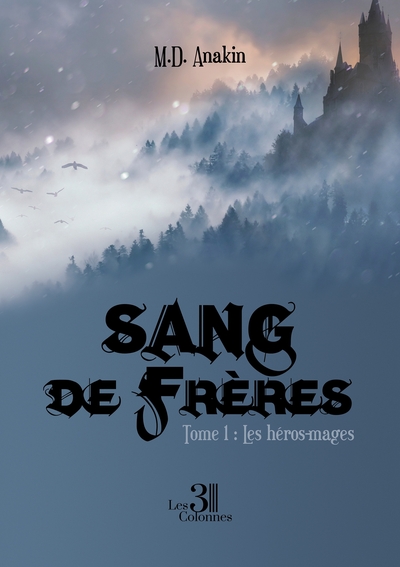 Image de Sang de frères - Tome 1 : Les héros-mages