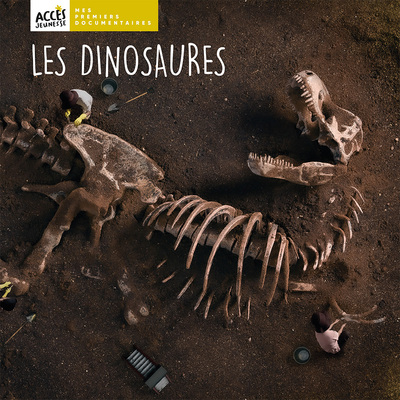 Picture of LES DINOSAURES
