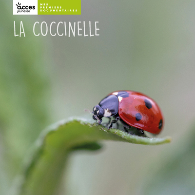 Image de LA COCCINELLE