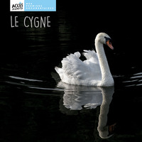 Picture of Le cygne