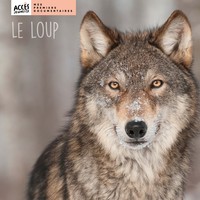 Picture of Le loup