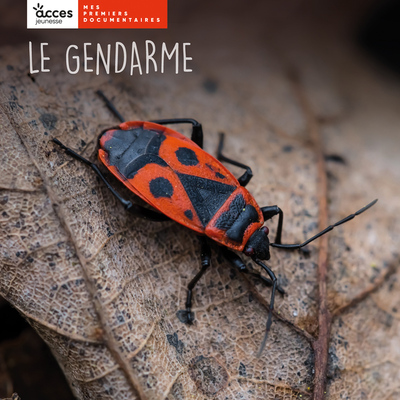 Image de LE GENDARME
