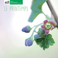 Picture of Le printemps