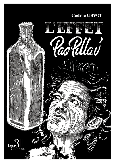 Image de L'effet pas pillav'