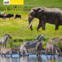 Picture of La savane
