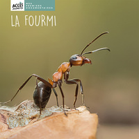 Image de LA FOURMI