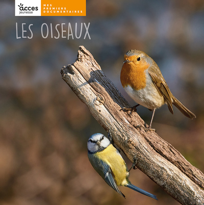 Image de LES OISEAUX