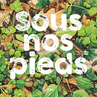 Picture of SOUS NOS PIEDS