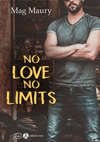 Picture of No Love, No Limits