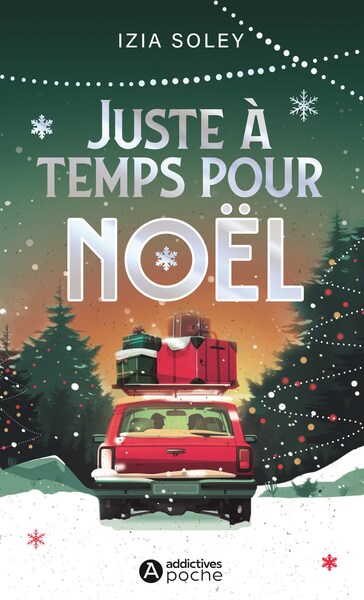 Picture of Juste à temps pour Noël !