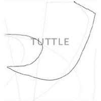 Picture of The Art of Richard Tuttle /anglais