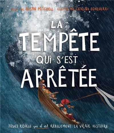 Picture of La tempête qui s'est arrêtée