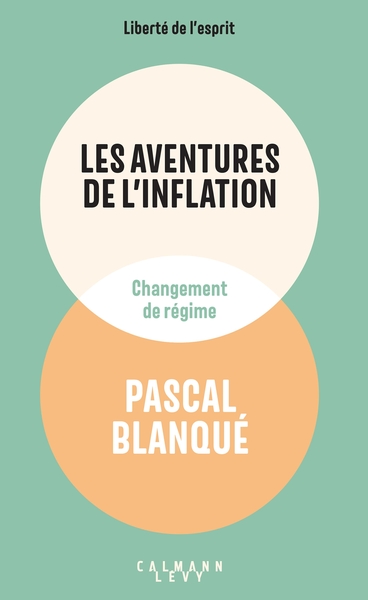 Image de Les aventures de l'inflation