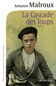Picture of La Cascade des loups